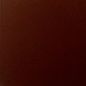 Meet your Posher, Vicente